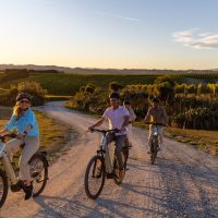 Walking & Biking Tours