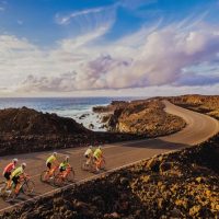 Bike Rentals