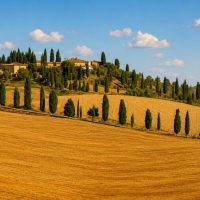 Full-day Tours