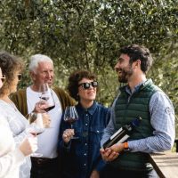 Private & Custom Tours