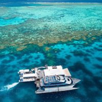 Day Cruises