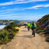 Half-day Tours