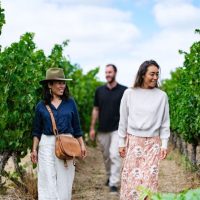 Multi-day Tours