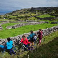 Self-guided Tours & Rentals