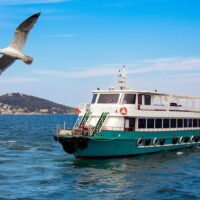 Catamaran Cruises