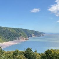 Shore Excursions