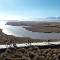 Day Trips & Excursions