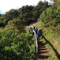 Multi-day Tours