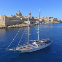 Day Cruises