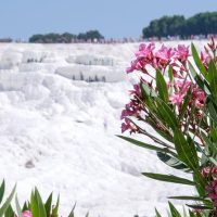 Full-day Tours