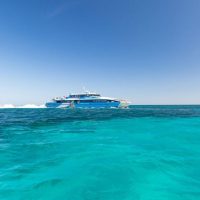 Lunch Cruises