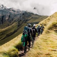 Private Sightseeing Tours