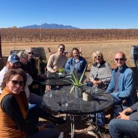 Bus & Minivan Tours