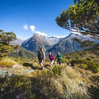 Hiking & Camping