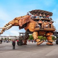 Cultural & Theme Tours