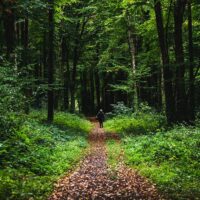 Hiking & Camping
