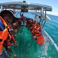 Glass Bottom Boat Tours