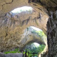 Eco Tours