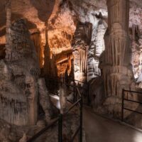 Private Sightseeing Tours