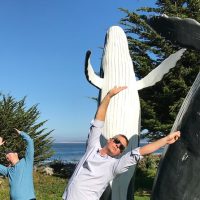 Self-guided Tours & Rentals