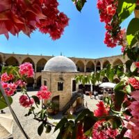 Cultural Tours