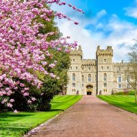 Full-day Tours