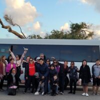 Airport & Ground Transfers