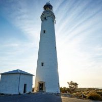 Bus & Minivan Tours