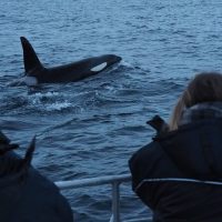 Holiday & Seasonal Tours