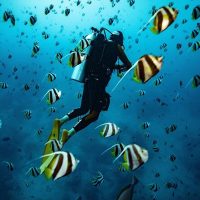 Scuba Diving