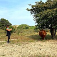 Day Trips & Excursions