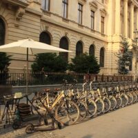 Bike Rentals