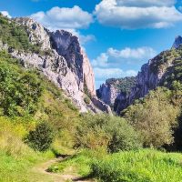 Holiday & Seasonal Tours