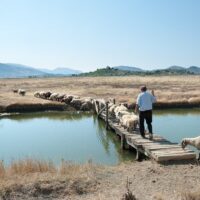 Day Trips & Excursions