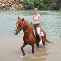 Private & Custom Tours