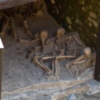 Multi-day & Extended Tours