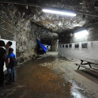 Half-day Tours