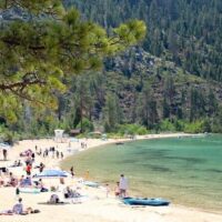 Bus & Minivan Tours