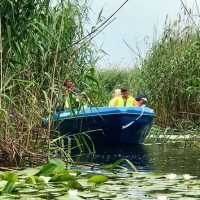 Boat Tours