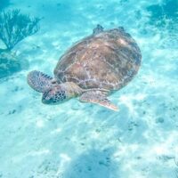 Private & Custom Tours