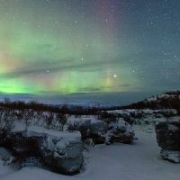 Dining Experiences