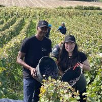 Plantation Tours