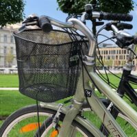 Bike Rentals