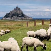 Luxury Tours