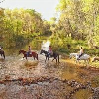 Private & Custom Tours