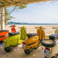 Scooter Rentals