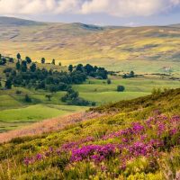 Multi-day Tours