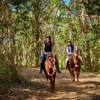 Horseback Riding