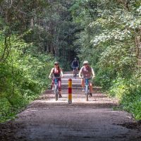 Bike & Mountain Bike Tours