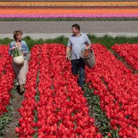 Holiday & Seasonal Tours